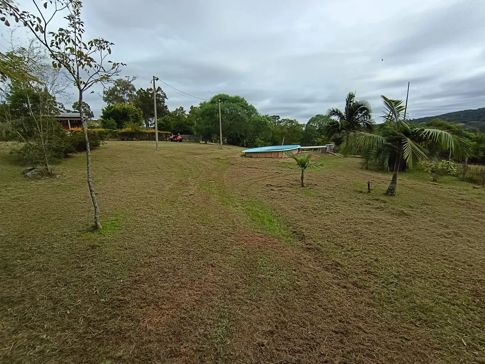 Depois do corte residencial