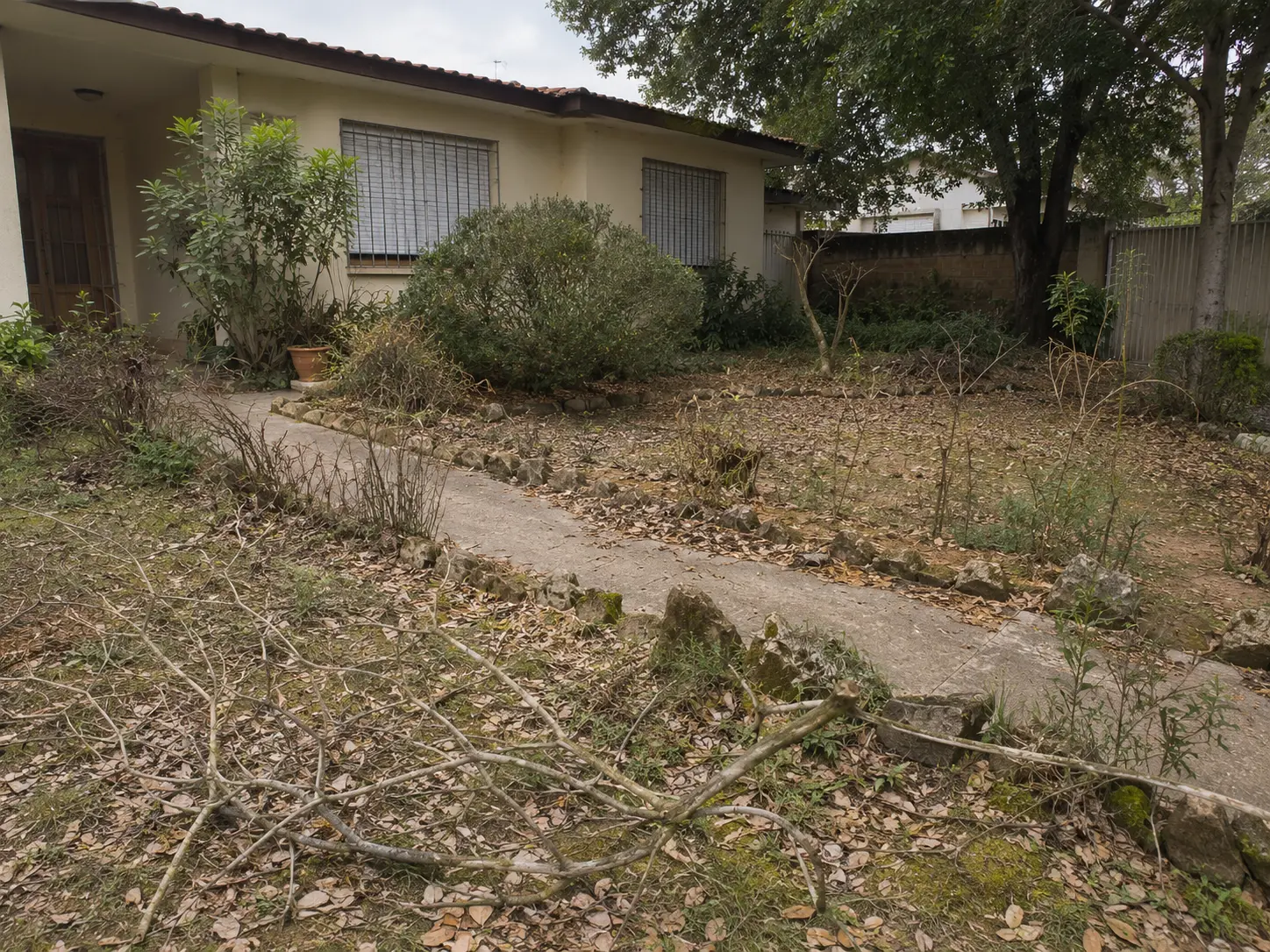 Antes da limpeza de jardim