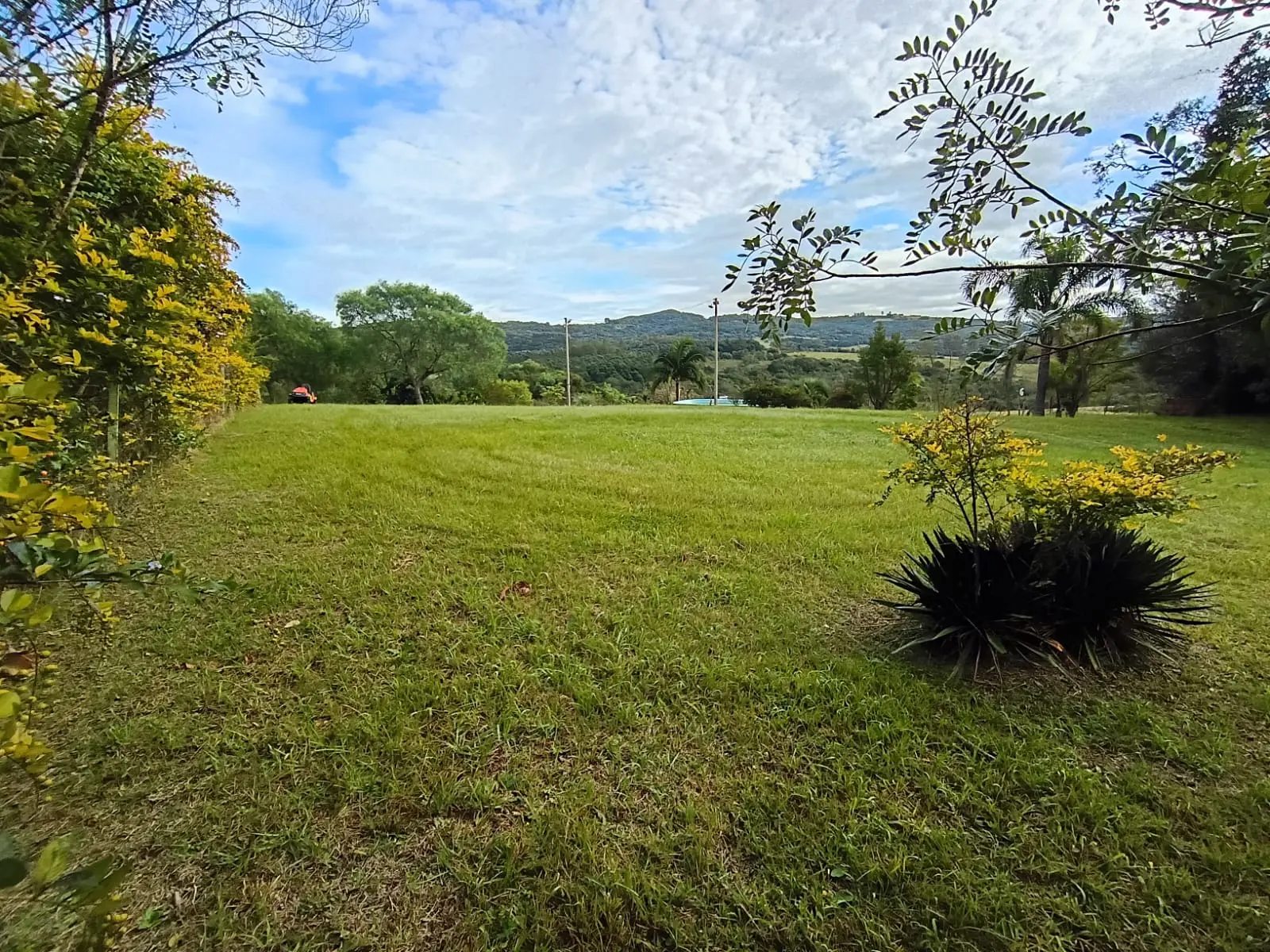 Antes da limpeza de roçada