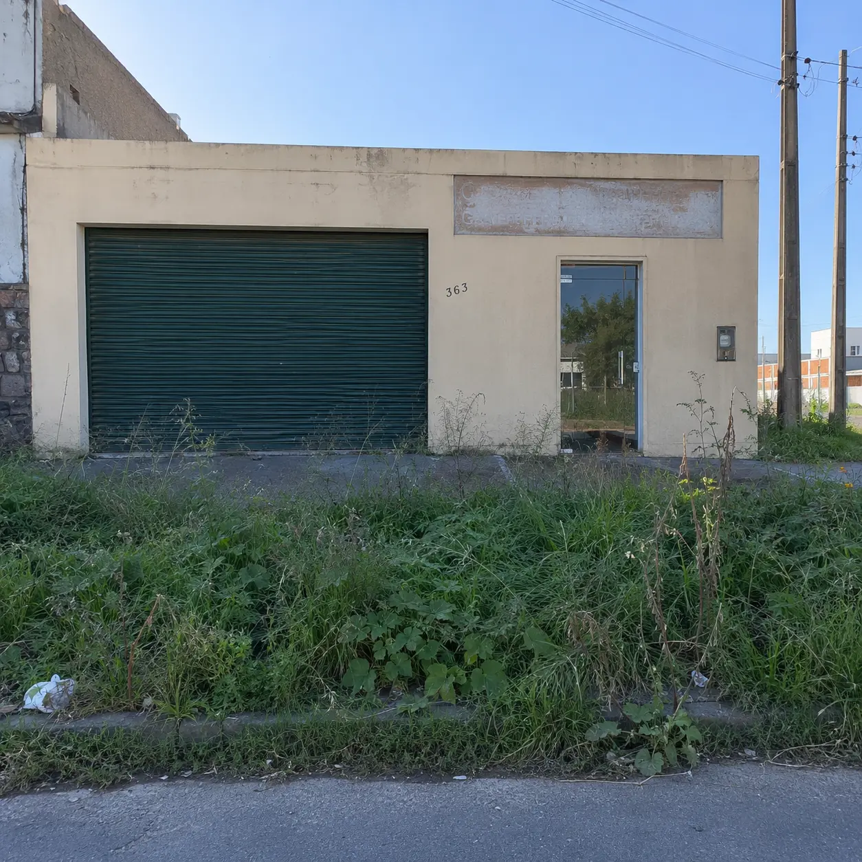 Antes da roçada comercial